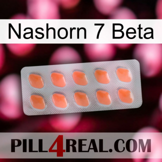 Rhino 7 Beta 26